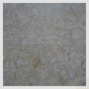 Brushed Antique Shells Reef Beige Limestone tiles
